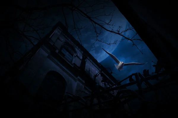 Pássaro gaivota voar sobre cerca velha, castelo grunge, árvore morta, lua — Fotografia de Stock