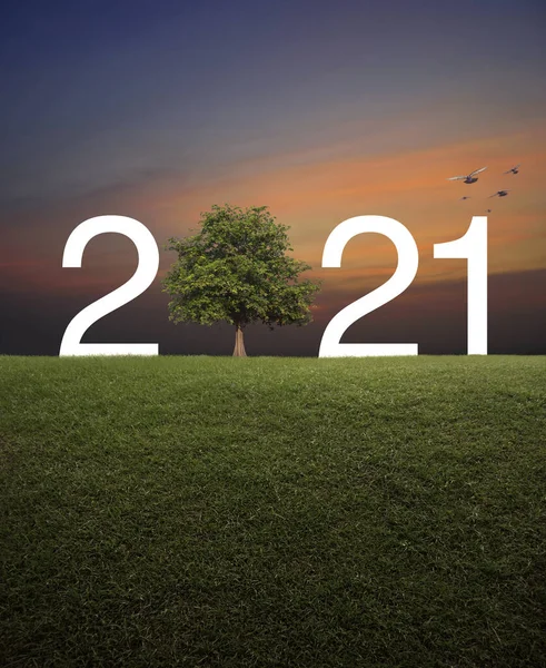 2021 Stromem Zelené Louce Nad Západem Slunce Obloha Ptáky Šťastný — Stock fotografie