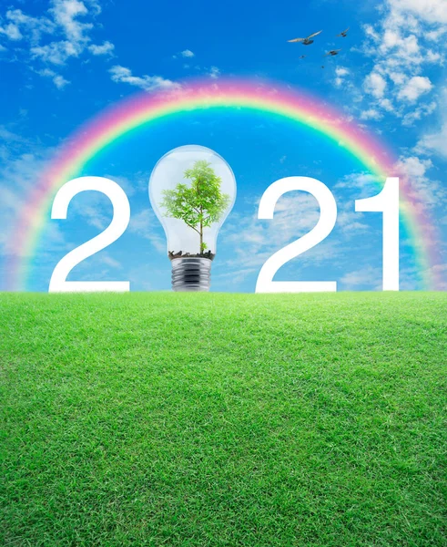 2021 Λευκό Κείμενο Και Λάμπα Δέντρο Μέσα Στο Πράσινο Πεδίο — Φωτογραφία Αρχείου