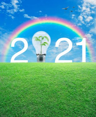 2021 white text and light bulb with small plant inside on green grass field over rainbow, birds and blue sky with white clouds, Happy new year 2021 ecological cover concept