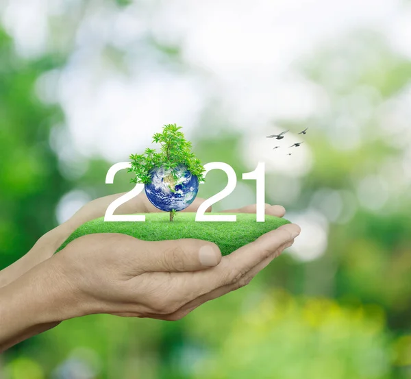 2021 White Text Planet Tree Green Grass Field Man Hands — Foto de Stock