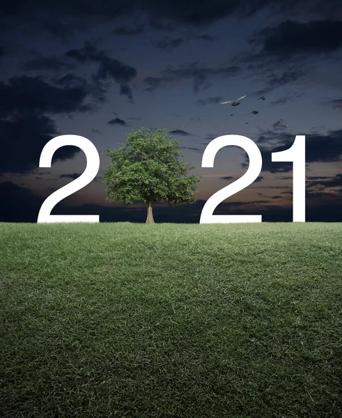 2021 Белый Текст Деревом Зеленом Травяном Поле Над Закатом Неба — стоковое фото