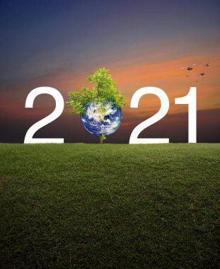 Günbatımında gökyüzü üzerinde yeşil çimen üzerinde kuşlarla 2021 beyaz metin, Mutlu yeni yıl ekolojik örtüsü, Dünya kavramını koru, NASA tarafından desteklenen bu görüntünün elementleri