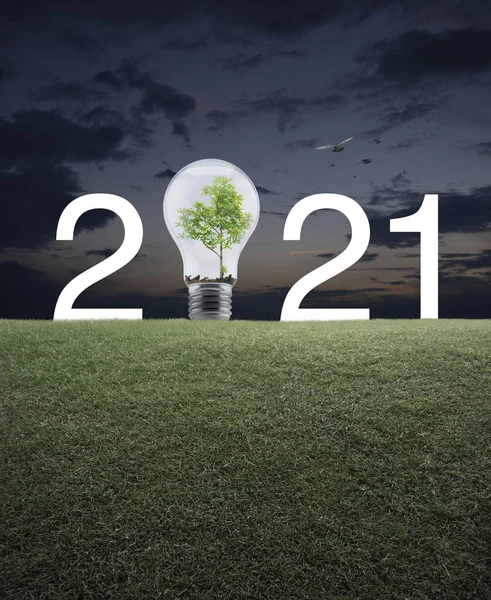 2021 White Text Light Bulb Tree Green Grass Field Sunset — Stock Photo, Image