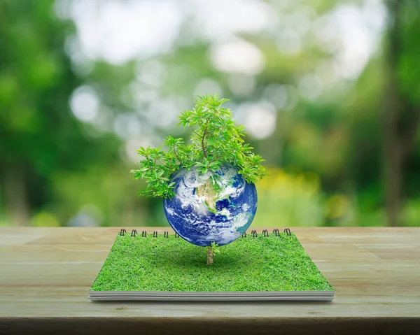 Earth with tree on green grass with open book on wooden table over blur green tree in park, Save the earth concept, Elements of this image furnished by NASA