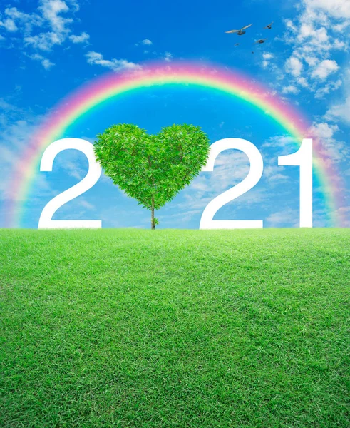 Tree Shape Heart Love 2021 Text Green Grass Field Rainbow — Stock Photo, Image