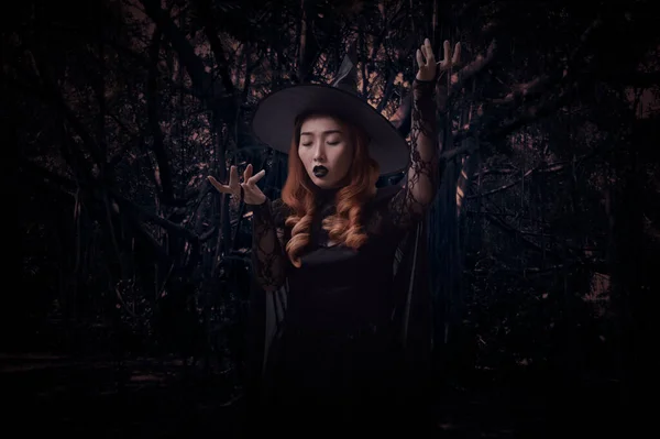 Mystery Halloween Witch Standing Spooky Dark Forest Tree Leaves Vine — Stok fotoğraf