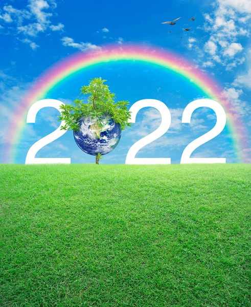 Gökkuşağı Üzerinde Yeşil Çimen Tarlasında Kuşlar Mavi Gökyüzü Üzerinde 2022 — Stok fotoğraf