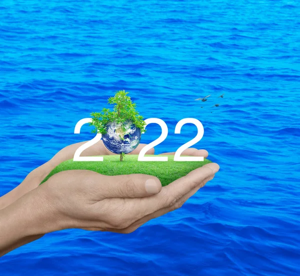 Gezegen Ağaçlı 2022 Beyaz Metin Yeşil Çimen Tarlasında Insan Mavi — Stok fotoğraf