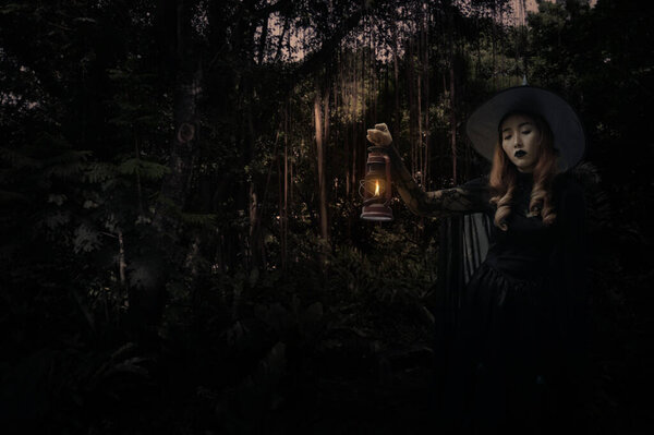 Halloween witch holding ancient lamp standing over dark forest and tree, Halloween mystery concept