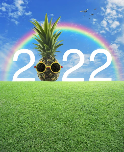 Pineapple Sunglasses 2022 White Text Green Grass Field Rainbow Birds — Stock Photo, Image