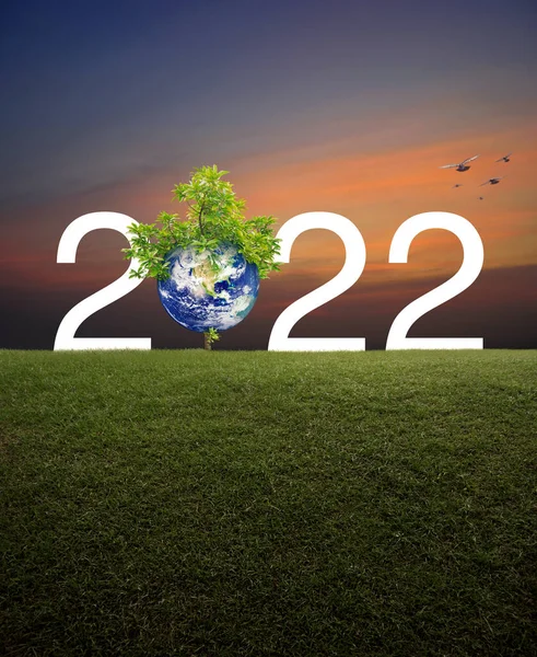 2022 Witte Tekst Met Planeet Boom Groen Grasveld Boven Zonsondergang — Stockfoto