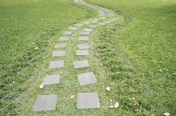 Stone walkway winding — Stock Photo, Image