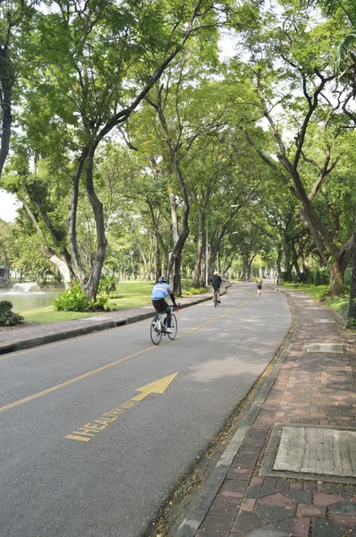 Healthy Way Lane Sign