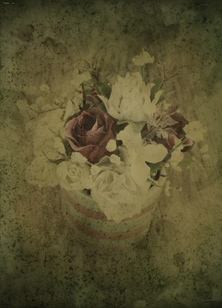 Roses Vintage — Photo