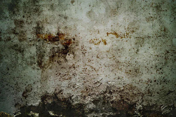 汚れた白い壁 — ストック写真