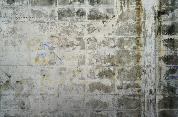 Grungy parede branca — Fotografia de Stock
