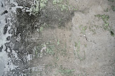 Grunge duvar eski ev