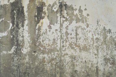 eski boya duvardan peeling