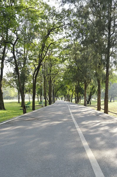 Rowerów droga drogi w zielonym lesie miejskim parku — Zdjęcie stockowe