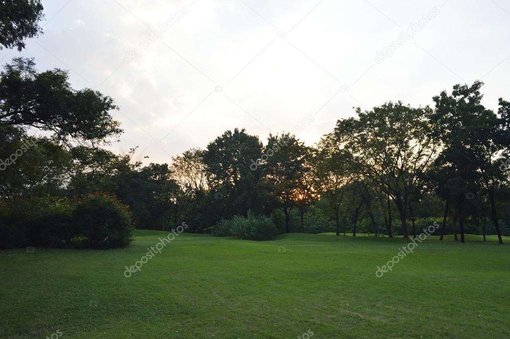 Green grass field in city park, evening