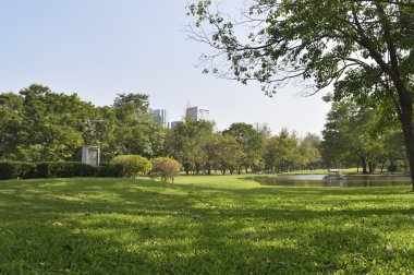 büyük kent park alanında yeşil çimen