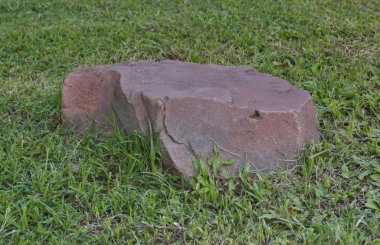 Kırmızı taş yeşil çimen