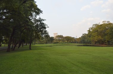 büyük kent park alanında yeşil çimen