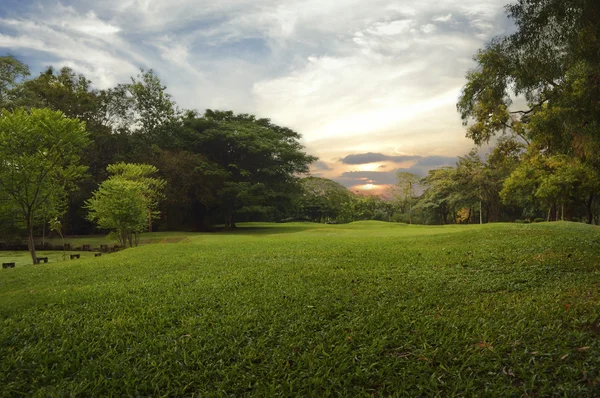 Green grass field in public park, — Stock Photo, Image