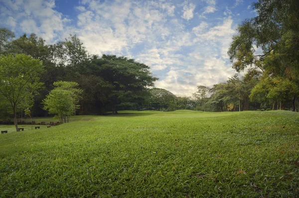 Champ d'herbe verte dans le parc de la ville, soirée — Photo