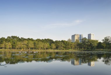 Genel park su birikintisi ile