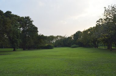 Şehir Parkı alanında yeşil çimen