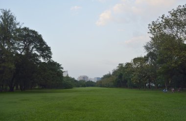 Büyük şehir parkı, Bangkok yeşil çim sahada Bisiklet
