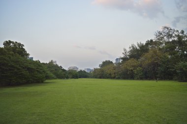 Yeşil çim sahası büyük şehir Park, Bangkok