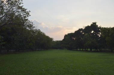 Bisiklet park ile güzel manzara