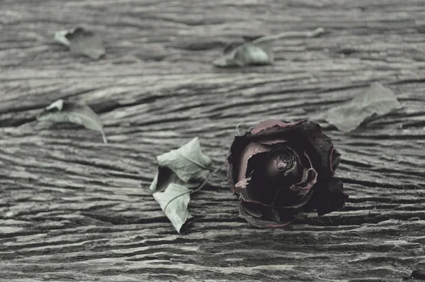 Torkad ros på gamla trä bakgrund, broken heart begreppen — Stockfoto