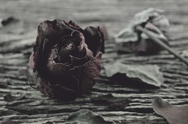 Dried Rose on old wooden background, broken heart concept — Stock Photo, Image