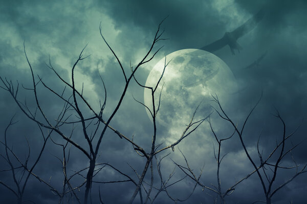 Spooky forest with full moon, dead trees and birds, Halloween background