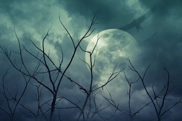 Kusliga skogen med fullmåne, döda träd, Halloween bakgrund — Stockfoto