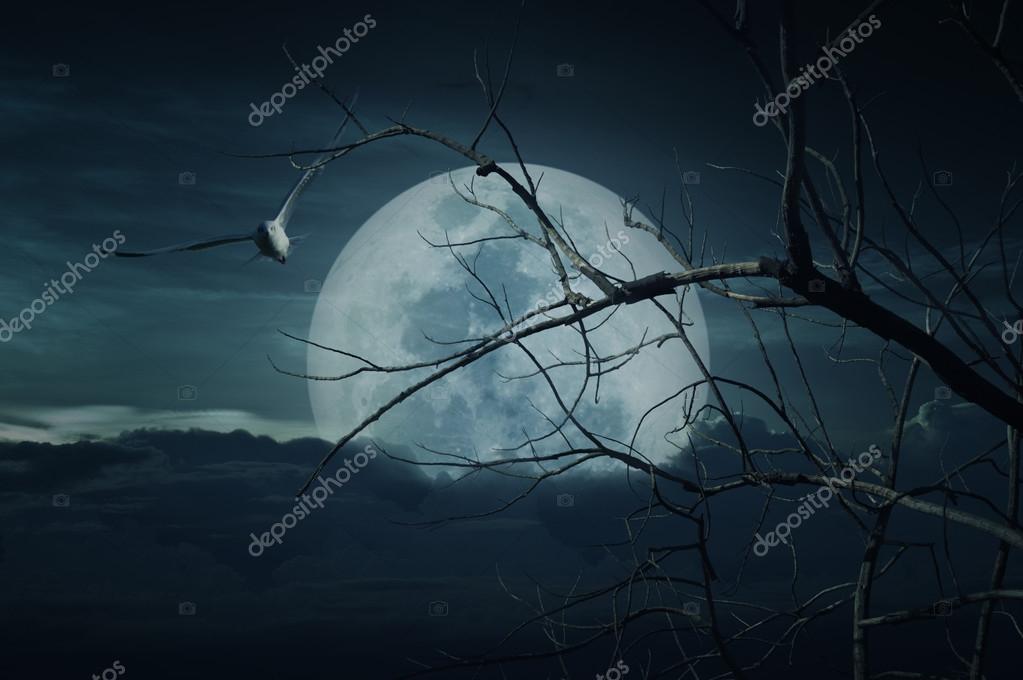 Spooky Forest With Full Moon Dead Trees Halloween Background Stock Photo C Grapesock 81436298