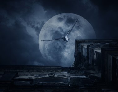 Dolunay ve kuş, Cadılar Bayramı backg ile ürkütücü eski bina