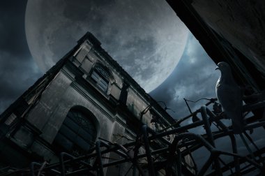 Eski grunge kuşla geceleri bulutlu gökyüzü ve m üzerinde bina