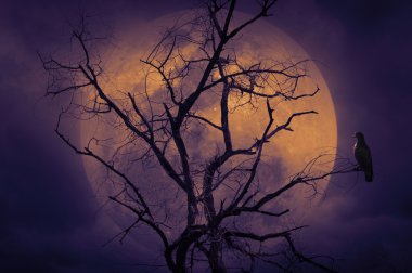 Ölü ağaçlar, Cadılar Bayramı arka plan üzerinde oturan kuş
