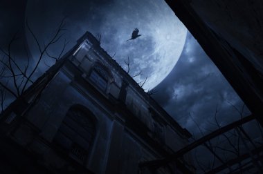 Kuş ve ölü ağaçlar ile geceleri üzerinde bulutlu bina eski grunge