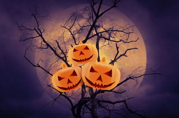 Zucca su albero morto contro la luna, sfondo di Halloween — Foto Stock