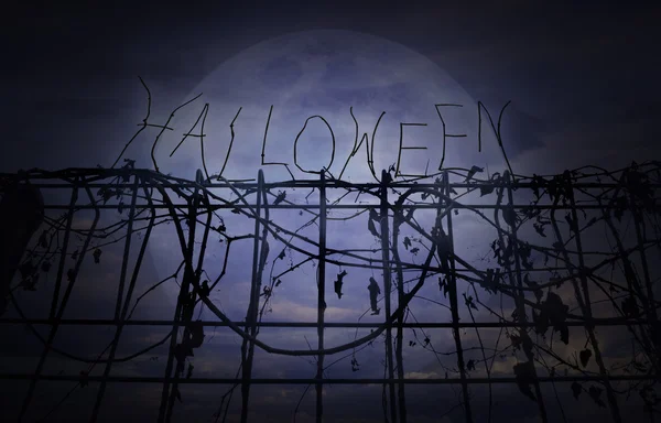 Halloween text over metal fence with dry leaves over dark sky, H — Stock Photo, Image