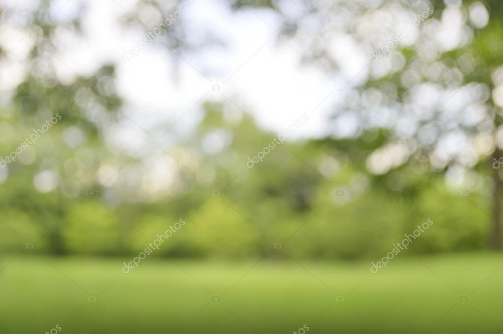 Green bokeh from tree background