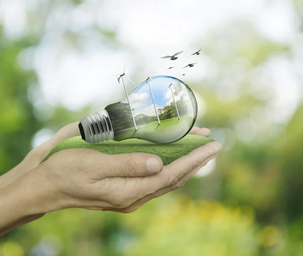 Light bulb with wind turbines and forest inside in hands on gree — Stock Photo, Image