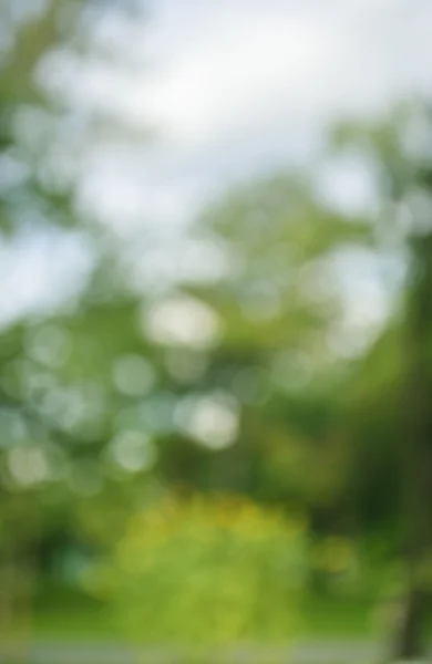 Bokeh verde del fondo del árbol — Foto de Stock