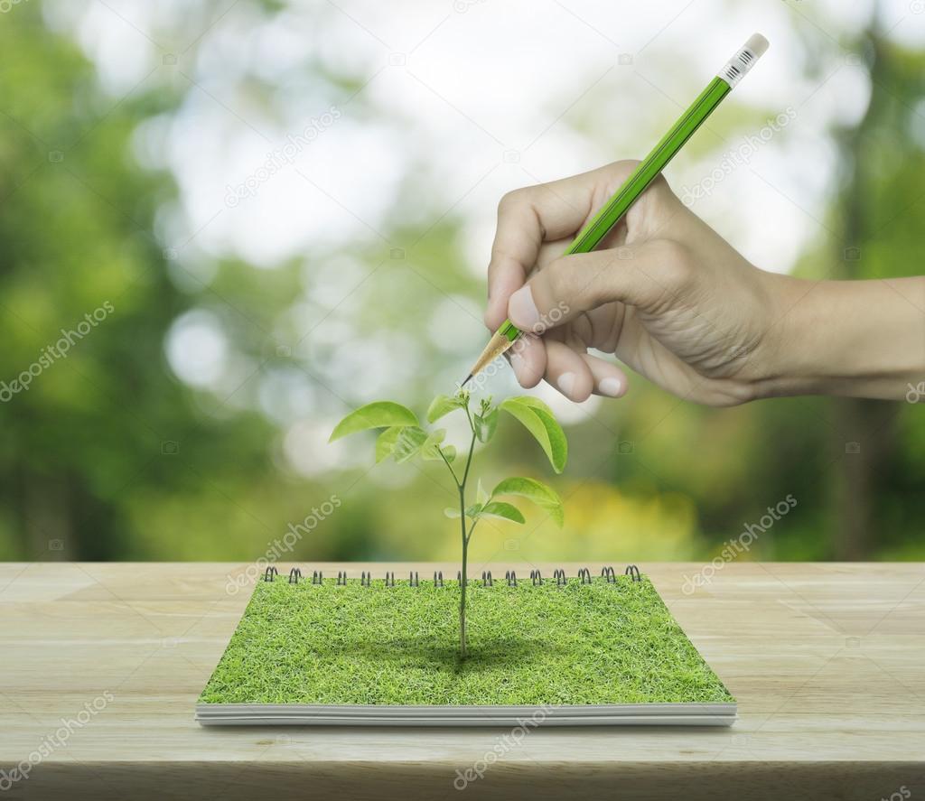 Mano Con La Matita Disegnare Un Albero Che Cresce Da Un